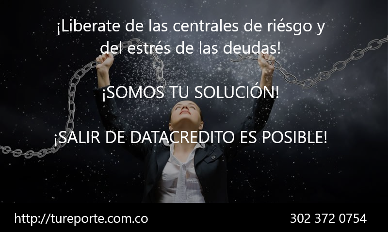 5% Por Asesoria