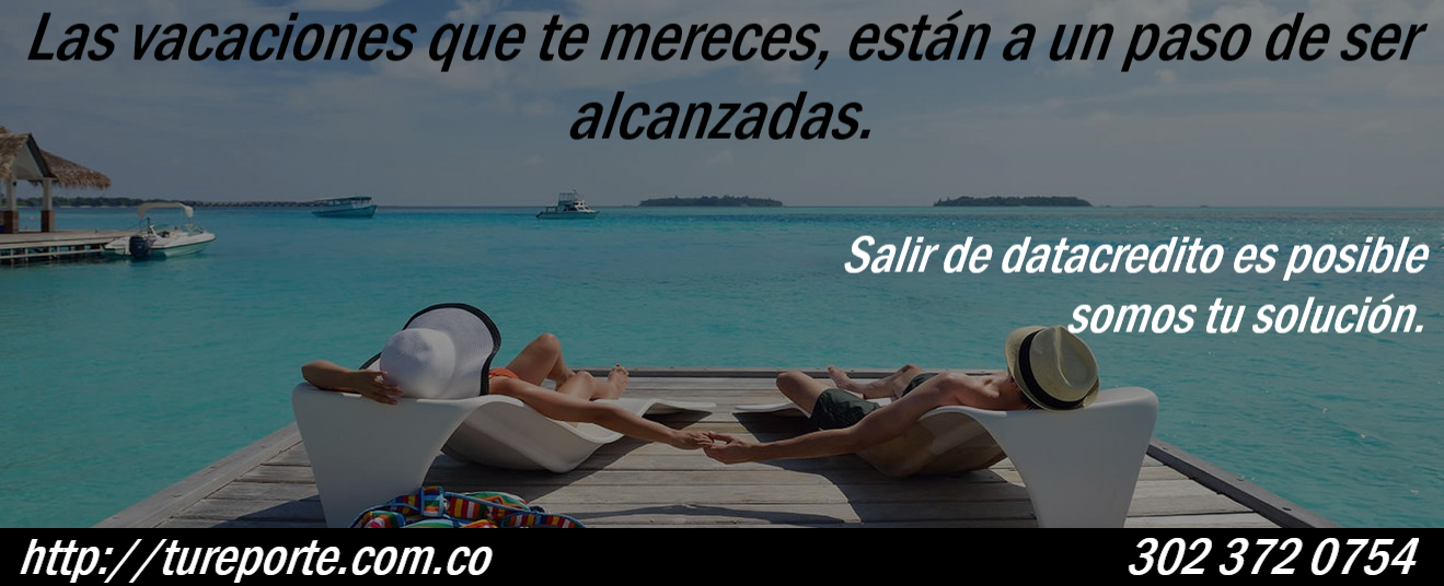 5% Por Asesoria